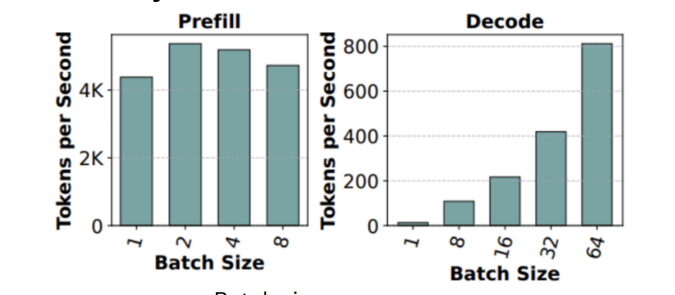 Two bar charts: prefill throughput is flat across batch sizes 1, 2, 4, 8 around 4K-5K tokens/sec. Decode throughput rises linearly from ~10 to ~800 tokens/sec as batch size grows from 1 to 64.