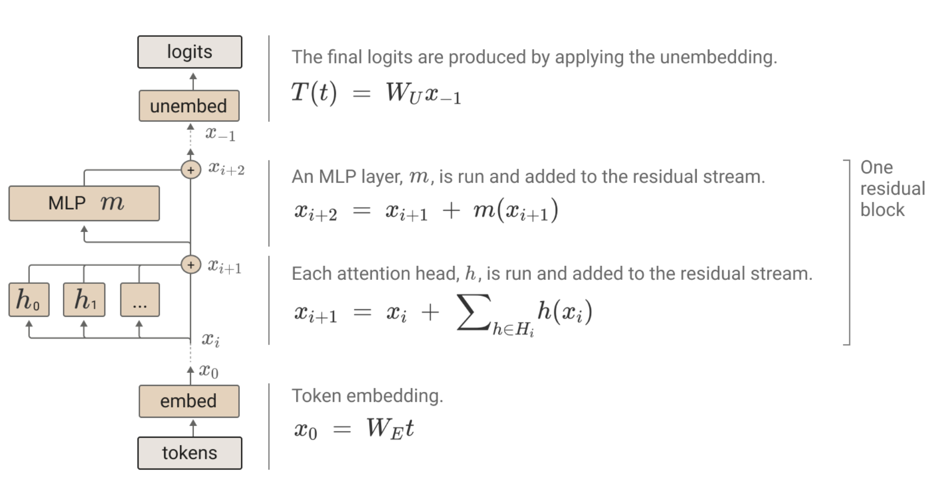 Transformer compute graph: token embedding, residual block with attention heads and MLP, unembedding to logits
